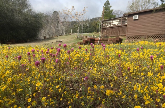 Shirley Creek Retreat: une oasis de montagne