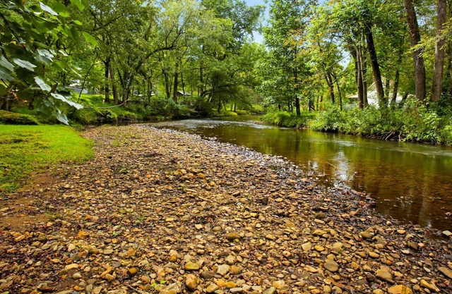 Shooting Creek Cottage Walk n' Creek Fronatge! Kayak to Lake Chatuge! Fish WiFi