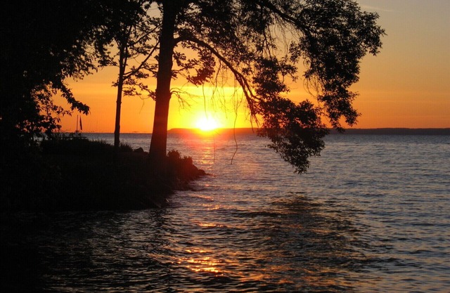 "Shorewood" - 10 steps away from the water!