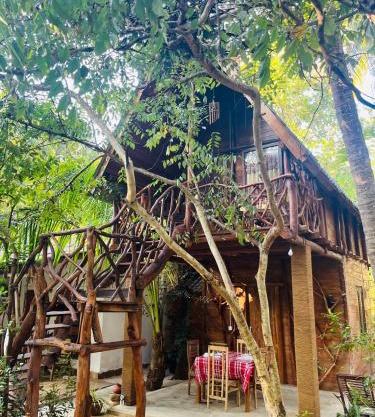 Sigiri Lodge Tree House