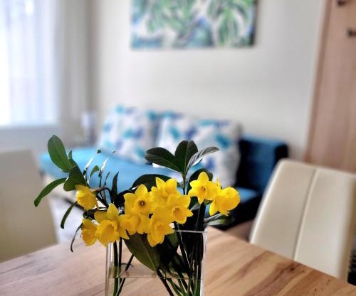 Silver Lodge Apartment 1 Eger