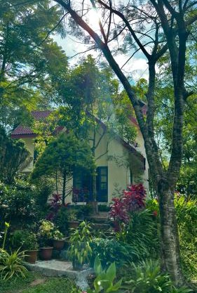 Silver oaks plantation cottage