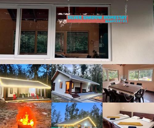 Silver Shadow with pool stay