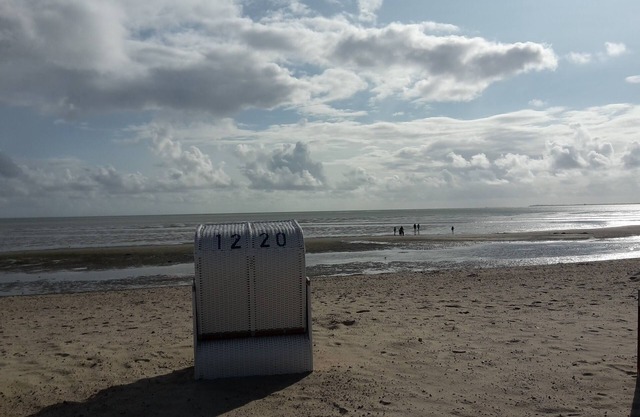 Tout simplement magnifique dans Wrixum