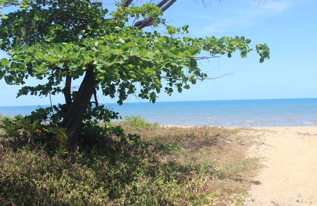 Simply Coastal