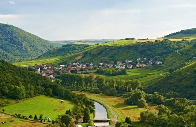 Chambre Simple Douche / WC - Weingut und Gästehaus Franzmann