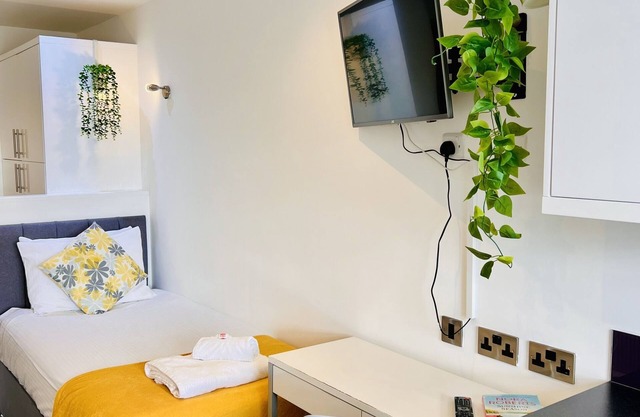 Studio-Appartement-Salle de bain et douche-Single