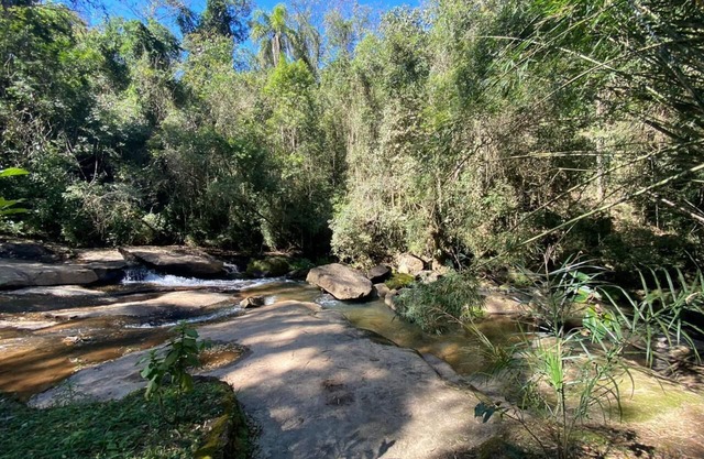 Site Blue Butterfly - Paradis dans la Serra da Cantareira