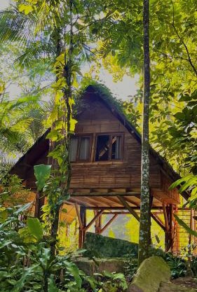 Sitio Simple Life