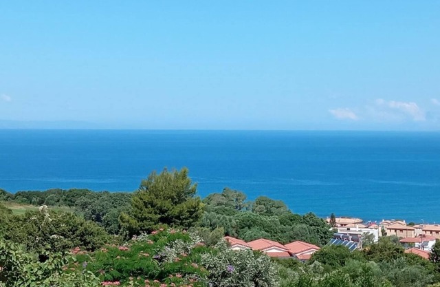Skafidia Villa Yucca - Garden Haven Retreat