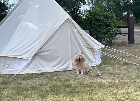 Skegness campsite Bring your own tent or caravan riverside grass pitch