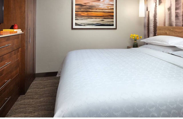 Ski-In/Out RESORT VILLA in Steamboat Springs w/2-bedrooms/2-baths/WiFi/amenities