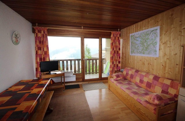 Pied des pistes de ski, 2ème étage, vue montagne, balcon, télévision, casier à ski, 55m²