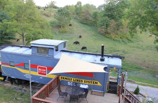 Dormez dans un fourgon de queue dans un ranch de buffles de 65 acres!