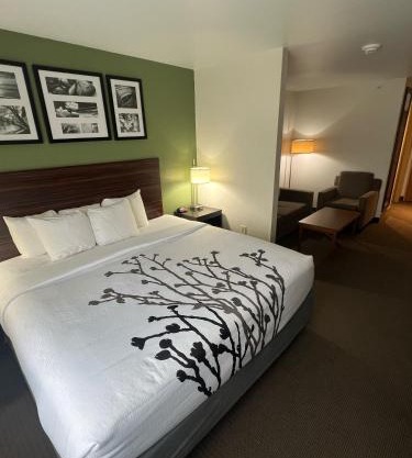 Sleep Inn & Suites Conference Center Eau Claire North