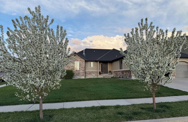 Cozy Home-Sleeps 16-Ideal location