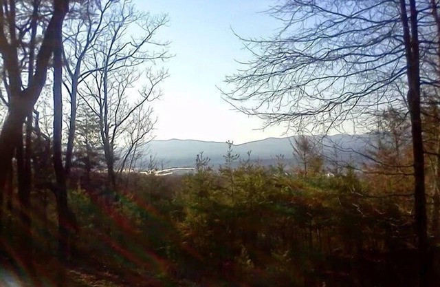 Côté somnolent des Smokies