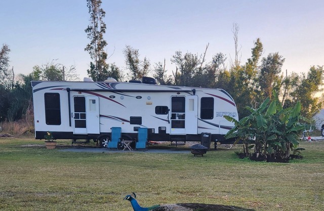 Slice of Paradise on Pine Island!