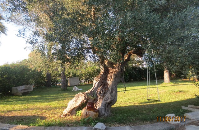 Petite maison à la campagne, la petite "Cornula", Salento