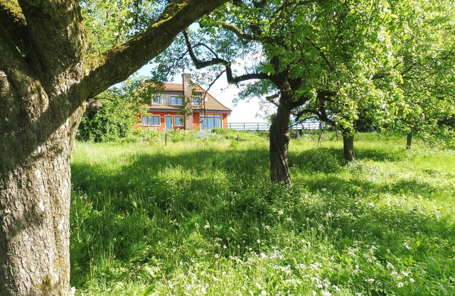 Petite villa dans le jardin sauvage