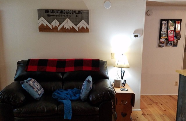 Smoky Mountain Home Rental 3/2 couchages 6.