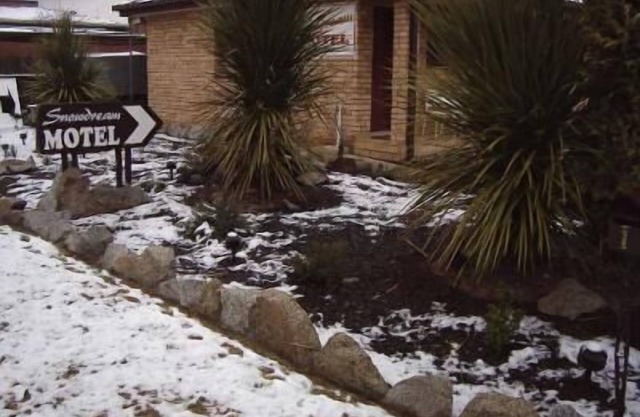 Snowdream Motel