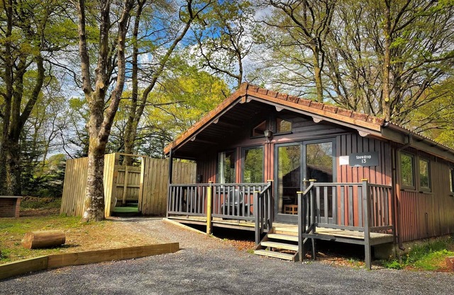 Snowdrop 13-Hot Tub-Woodlandlodges-Carmarthenshire