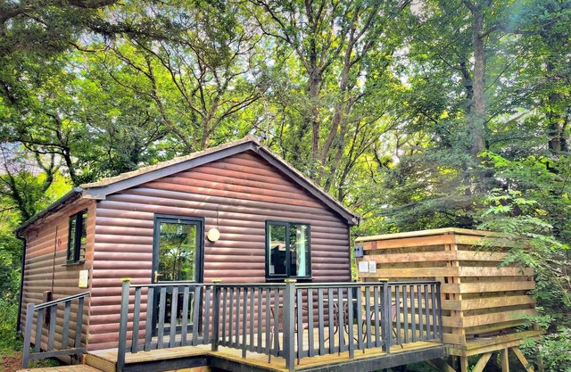 Wren 5-Hot Tub-Woodland Lodges-Pembrokshire-Tenby