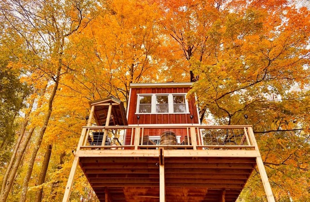 So Secluded and Magical with Easy Access and Pet Friendly