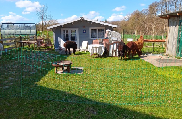 Cozy alpaca hut at the Sonnenscheinhof Alpakas