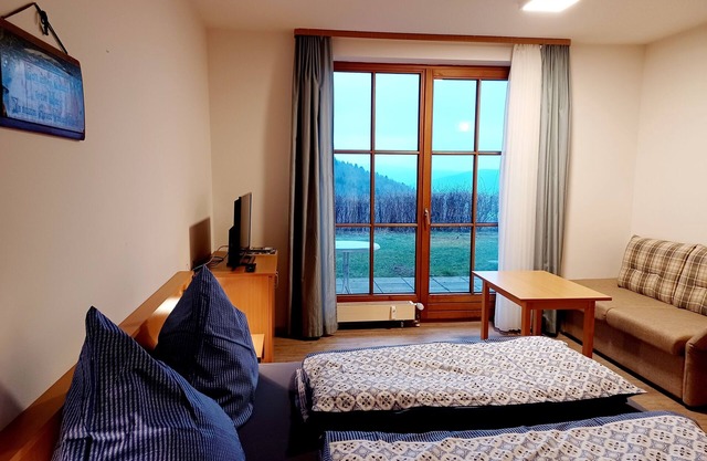Sonnenwald Schönblick apartment with terrace Pet-friendly!