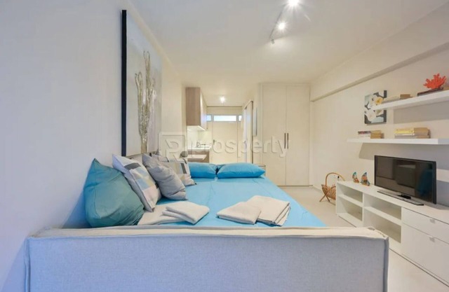 Sophia' s Studio