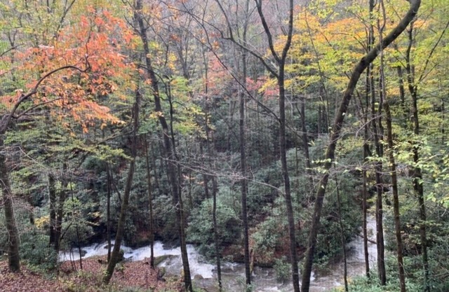 Sound of Rushing RAPIDS/ Private wooded location/Hiking Trail/Hot Tub