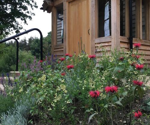 South Downs Eco Lodge & Camping