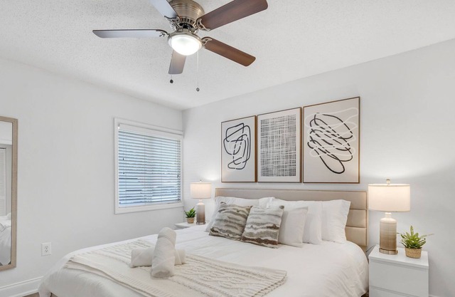 South Tampa Apartment minutes away from Downtown, Dining and Entertainment