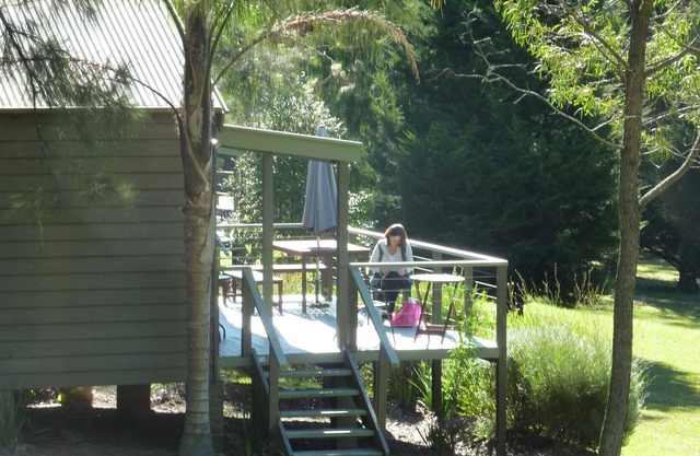 Blue Gums Cottage (Vallée Kangourou)