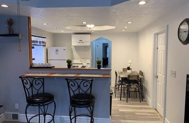 Spacious 2nd floor apt in the heart of Clevelands west side neighborhood nice !