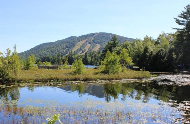 Spacieuse maison de 4 chambres ~ Moose Pond / Shawnee Peak. Vos enfants vont l'adorer ici!