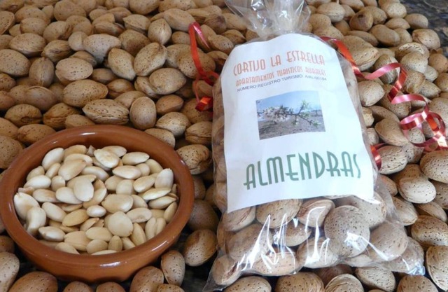 Cortijo La Estrella, Appartement 3