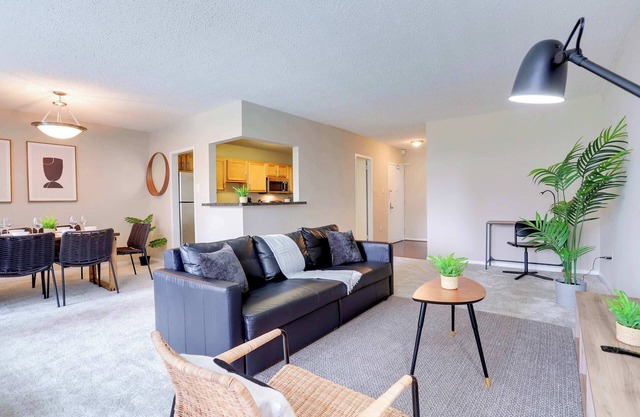 Modern Apt in Crystal City w Top Amenities