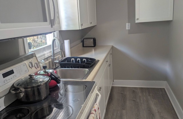 Spacious Apt Near Downtown & WKU