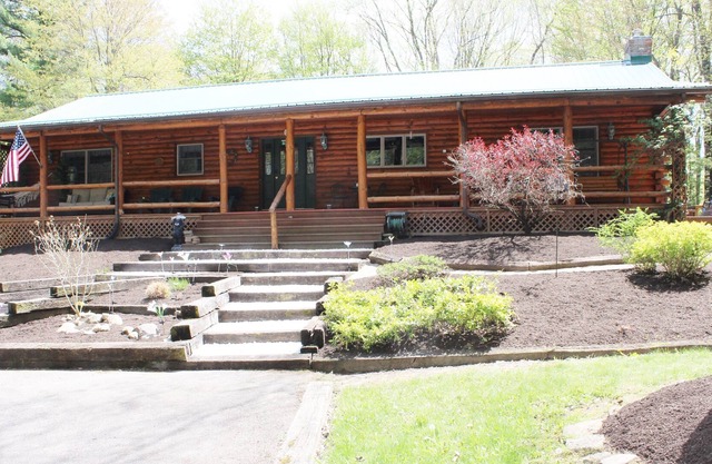 Spacious Cabin in the woods