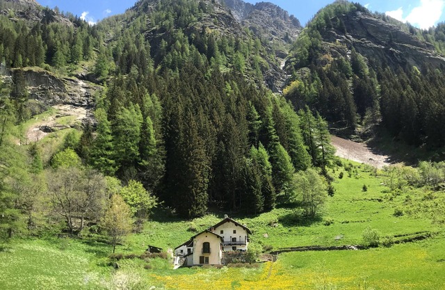 Chalet spacieux entouré de verdure 300m du centre village à proximité des pistes