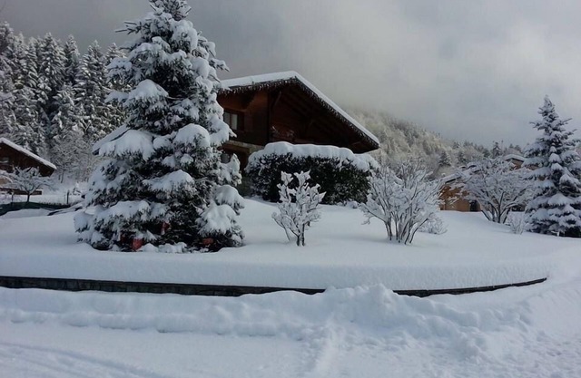 Chalet spacieux au coeur du beaufortain