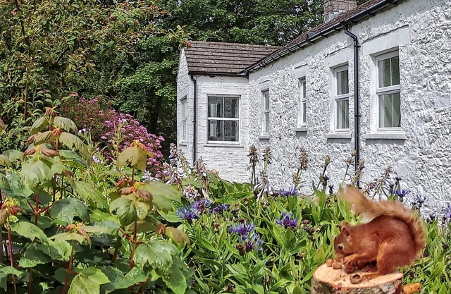 Spacieux chalet dans un domaine où la paix, la vie privée, le plaisir et l'exploration abondent