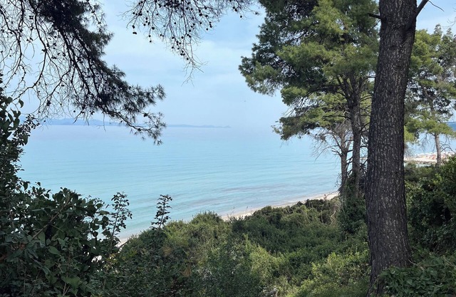 Spacious family home 5 minutes from the beach