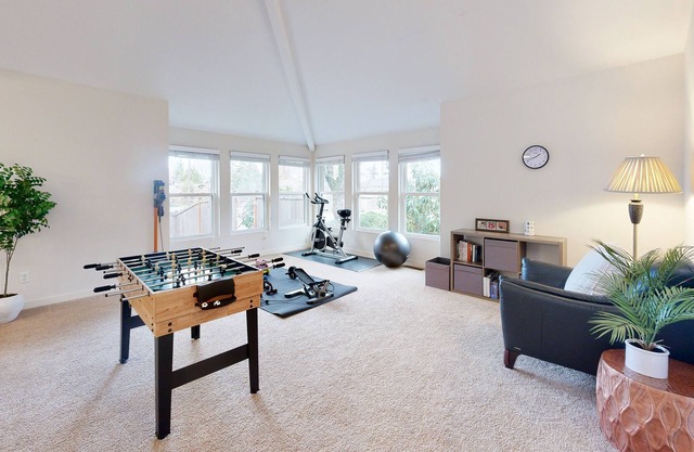 Spacious Gym&Game house /Pet&Kid friendly