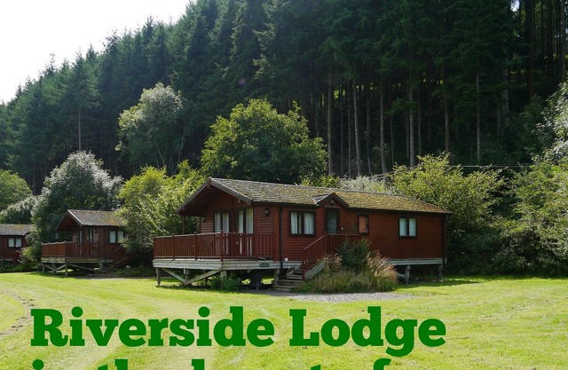 Spacieux Riverside Lodge dans une belle vallée boisée Dartmoor ** animaux de compagnie **
