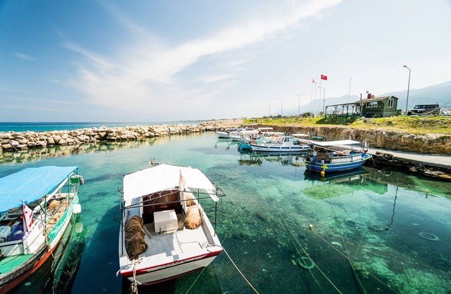 Spacieux appartement en bord de mer avec piscine