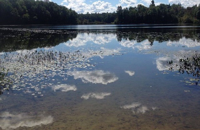 RV ancienne Dans Woods Sur lac privé pour amoureux de la nature